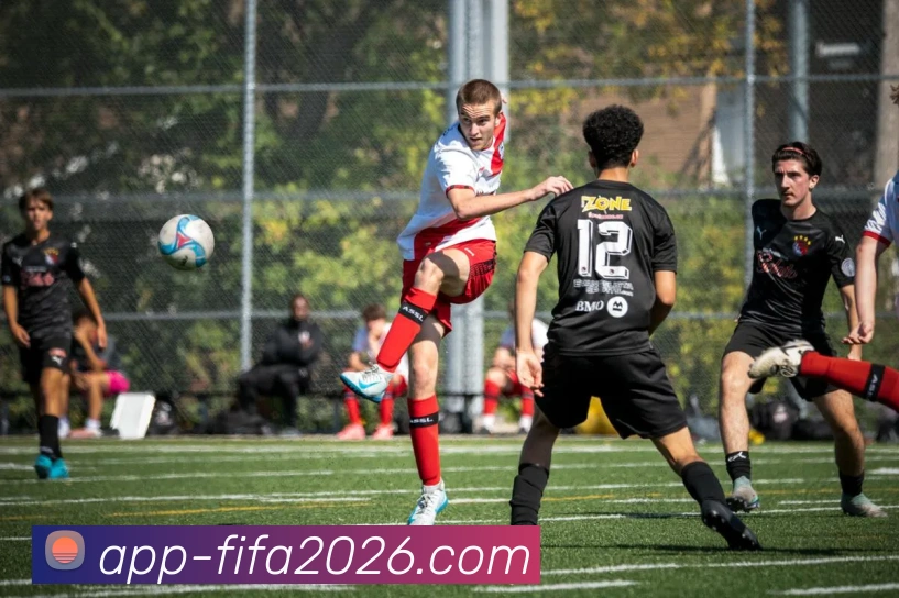 奖项证书